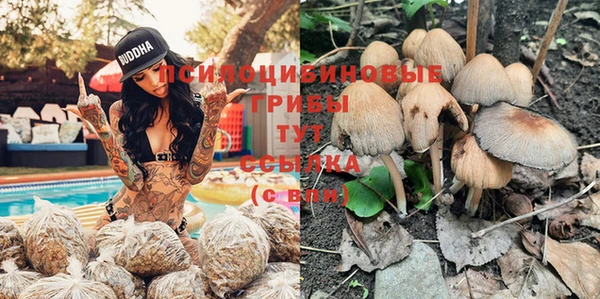 стафф Абаза