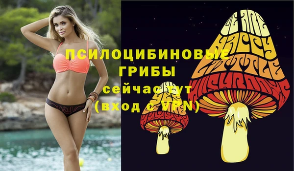 стафф Абаза