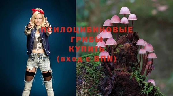 стафф Абаза