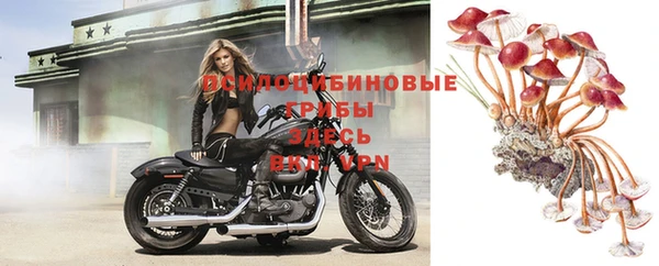 стафф Абаза